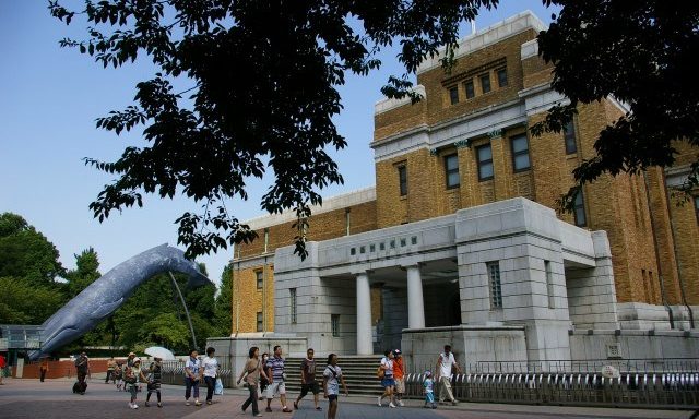 National Museum of Nature and Science / 国立科学博物館